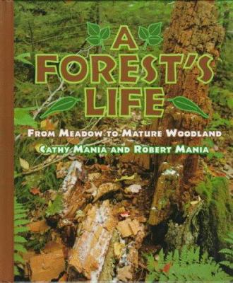 A forest's life: from meadow to mature woodland