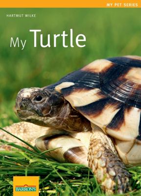 My turtle