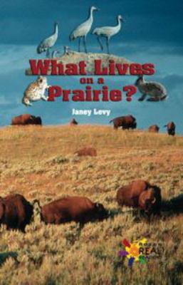 What lives on a prairie?