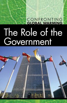 The role of the government