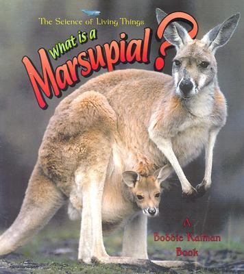 What is a marsupial?