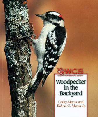 Woodpecker in the backyard