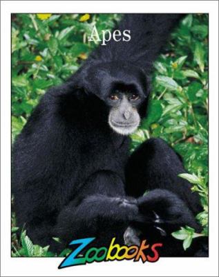 Apes