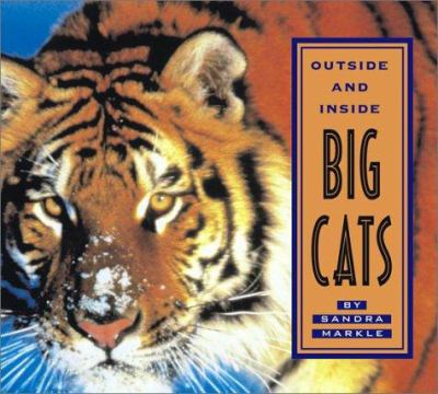 Outside and inside big cats