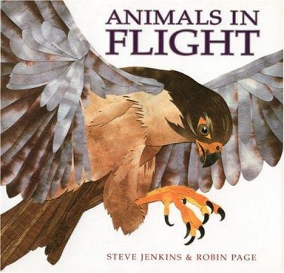 Animals in flight