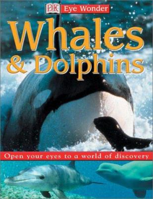 Whales & dolphins