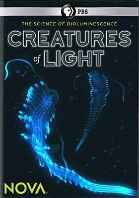 Nova. Creatures of light