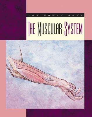 The muscular system