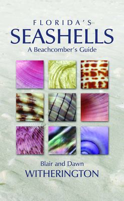 Florida's seashells : a beachcomber's guide