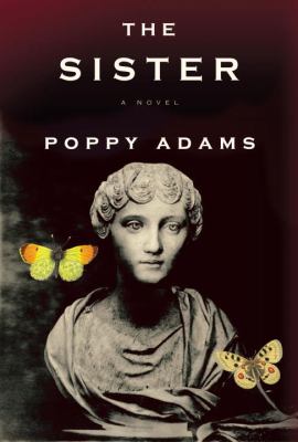The sister: a novel