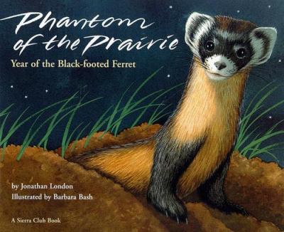 Phantom of the prairie : year of the black footed ferret