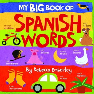 My big book of Spanish words