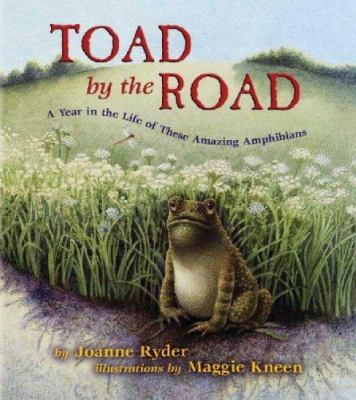 Toad by the road : a year in the life of these amazing amphibians