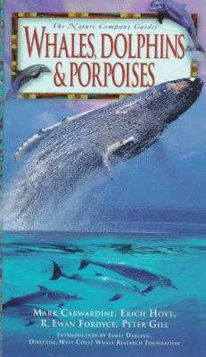 Whales, dolphins & porpoises