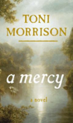 A mercy : a novel