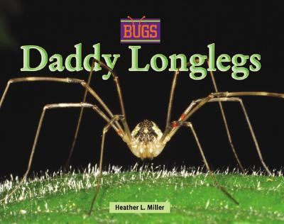 Daddy longlegs