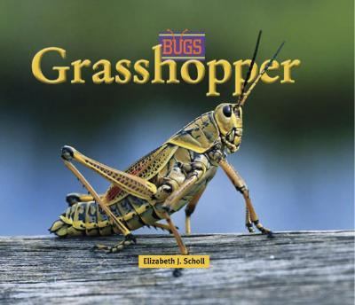 Grasshopper