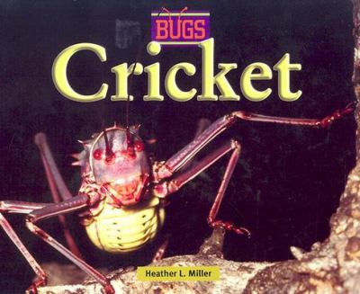 Cricket