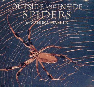 Outside and inside spiders