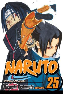 Naruto. Vol. 25, Brothers /