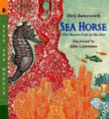 Sea horse : the shyest fish in the sea