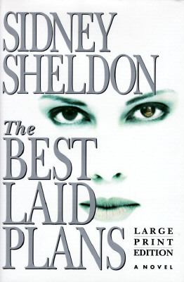 The best laid plans : a novel