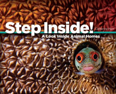 Step inside! : a look inside animal homes