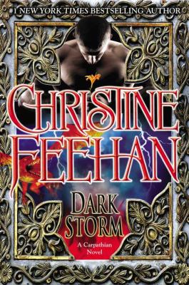 Dark storm : a Carpathian novel