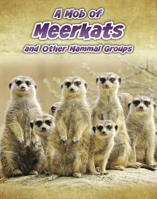 A mob of meerkats, and other mammal groups