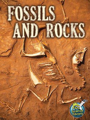 Fossils and rocks