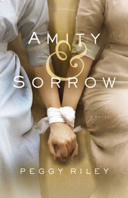 Amity & sorrow : a novel