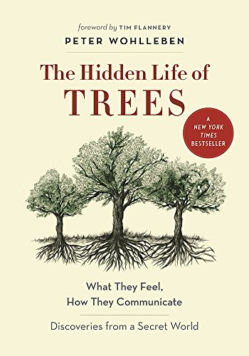 The hidden life of trees : what they feel, how they communicate : discoveries from a secret world.