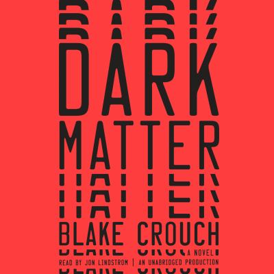 Dark matter : a novel