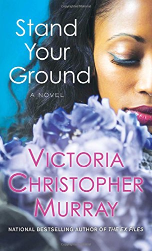 Stand your ground : a novel