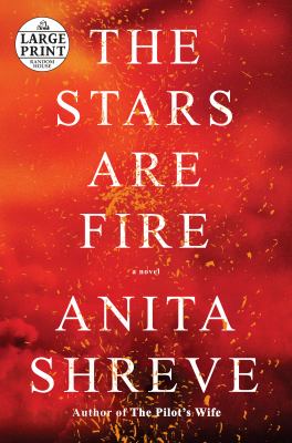 The stars are fire : a novel