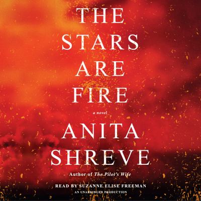 The stars are fire : a novel
