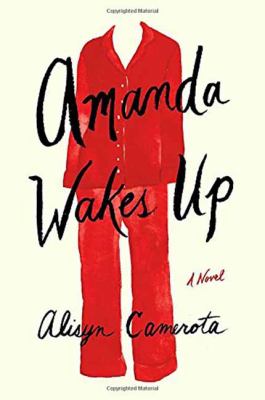 Amanda wakes up : a novel