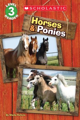 Horses & ponies