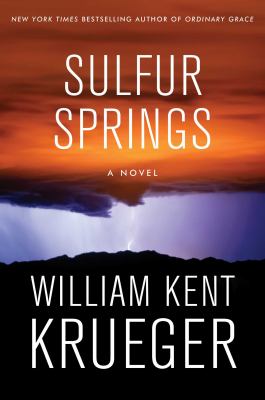 Sulfur Springs : a novel
