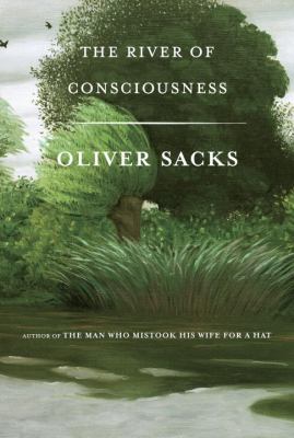 The river of consciousness