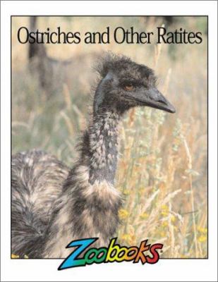 Ostriches and other ratites