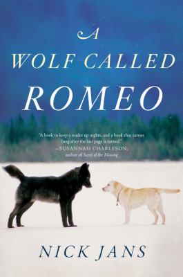 A wolf called Romeo