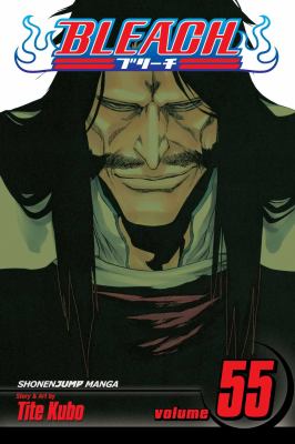 Bleach. Vol. 55, The blood warfare /