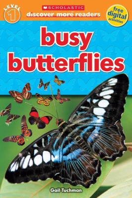 Busy butterflies