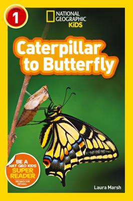 Caterpillar to butterfly