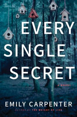 Every single secret : a novel