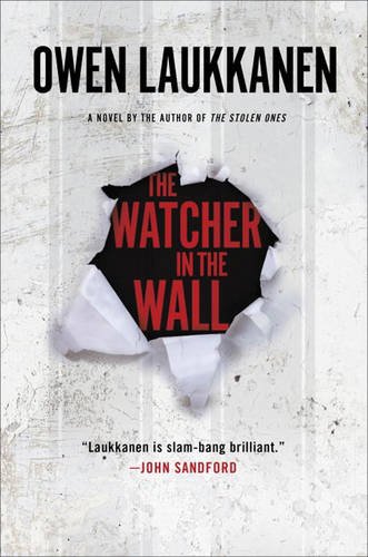 The watcher in the wall : a Stevens and Windermere novel