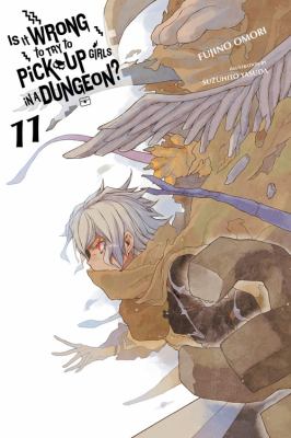 Is it wrong to try to pick up girls in a dungeon?. Volume 11