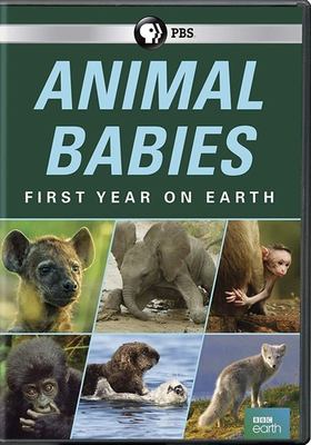 Animal babies. First year on Earth /