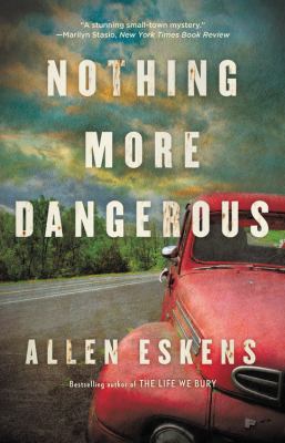 Nothing more dangerous : a novel